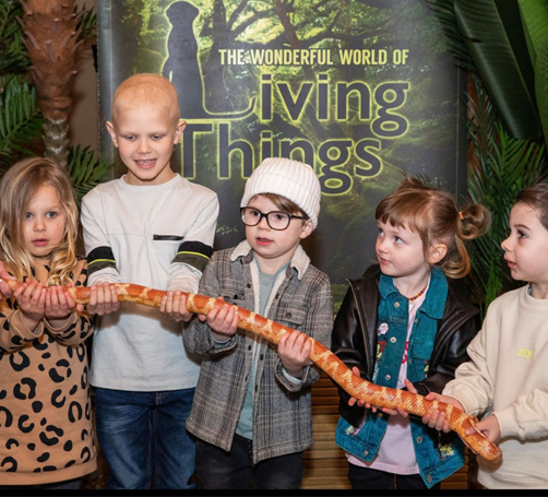 Living Things Wildlife Show